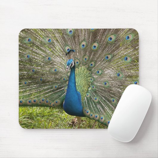 Pfau Mousepad (Mit Mouse)