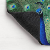 Pfau, mousepad (Ecke)