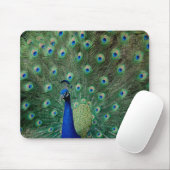 Pfau, mousepad (Mit Mouse)