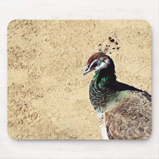 Pfau Mousepad (Vorne)