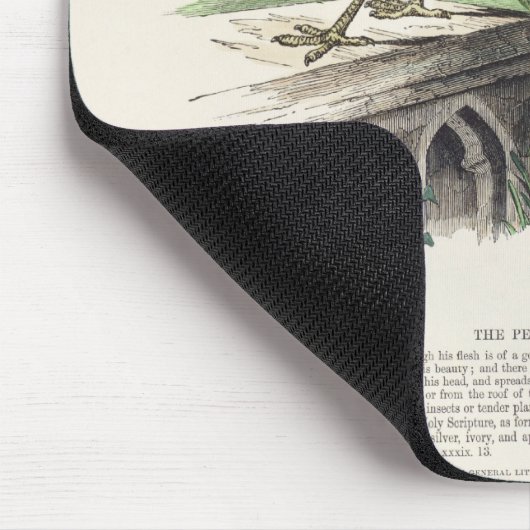 Pfau Mousepad (Ecke)