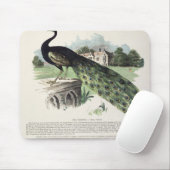 Pfau Mousepad (Mit Mouse)