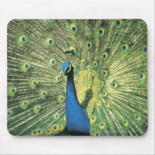Pfau Mousepad
