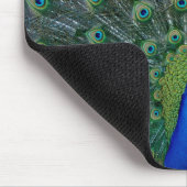 Pfau, mousepad (Ecke)