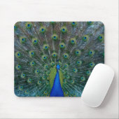 Pfau, mousepad (Mit Mouse)