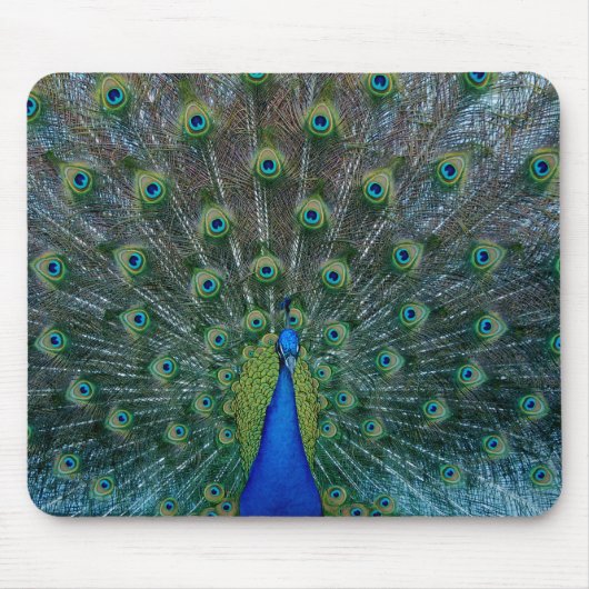 Pfau, mousepad (Vorne)