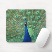 Pfau Mousepad (Mit Mouse)