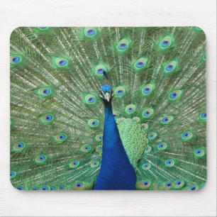 Pfau Mousepad