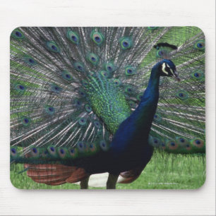 Pfau Mousepad