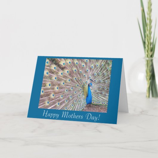 Pfau-Mutter-Tageskarte Karte (Vorderseite)