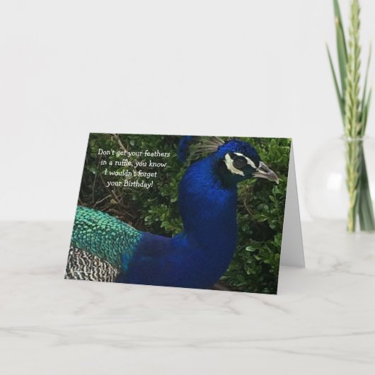 Pfau Nah bis Geburtstag Karte (Vorderseite)