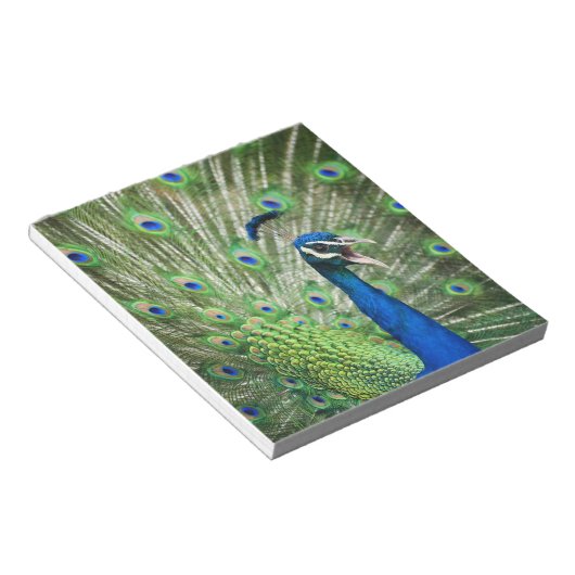 Pfau Notizblock (angewinkelt)