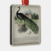 Pfau Ornament Aus Metall (Rechts)