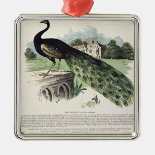 Pfau Ornament Aus Metall