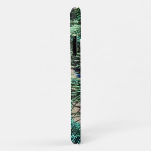 Pfau, Pfau, Pfau Schwanz, Federn Case-Mate iPhone Hülle (Hinten/Rechts)