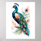 Pfau Poster (Vorne)