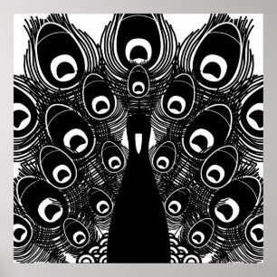 Pfau Poster