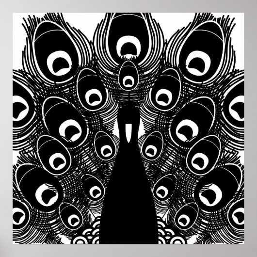 Pfau Poster (Vorne)