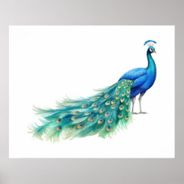  Pfau    Poster