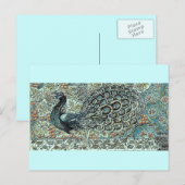 Pfau Postkarte (Vorne/Hinten)