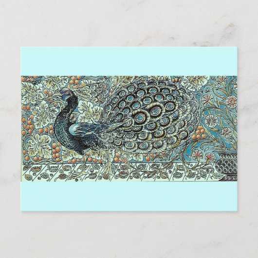 Pfau Postkarte (Vorderseite)