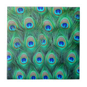 Pfau-Pracht Fliese (Vorderseite)