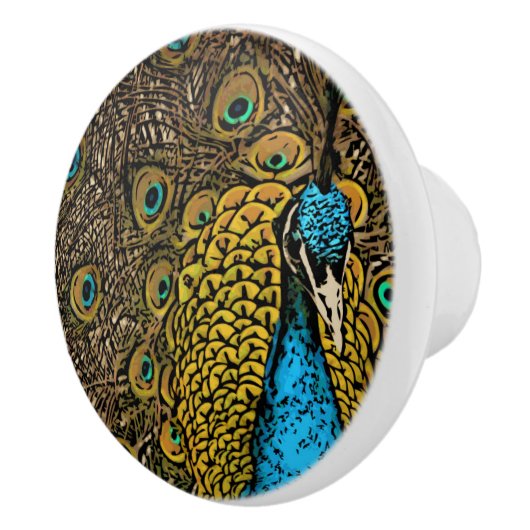 Pfau-Pracht-Illustration Keramikknauf (Rechts)