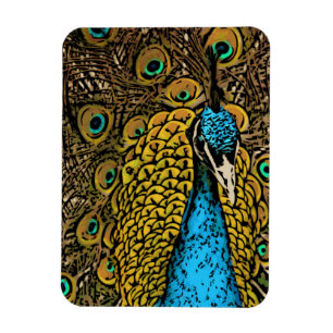 Pfau-Pracht-Illustration Magnet
