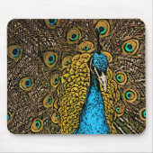 Pfau-Pracht-Illustration Mousepad (Vorne)