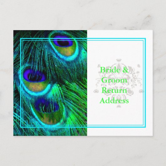 Pfau, psychedelische UAWG Postkarten (Rückseite)