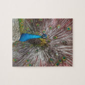 Pfau puzzle (Horizontal)