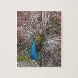 Pfau puzzle