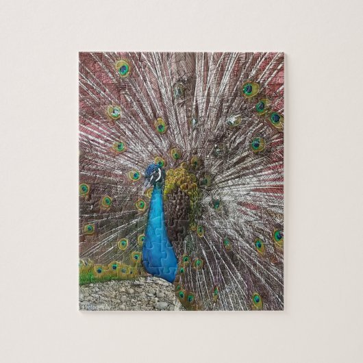 Pfau puzzle (Vertikal)
