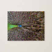 Pfau Puzzle (Horizontal)