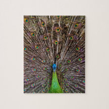 Pfau