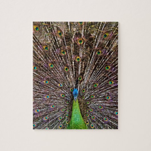 Pfau Puzzle (Vertikal)