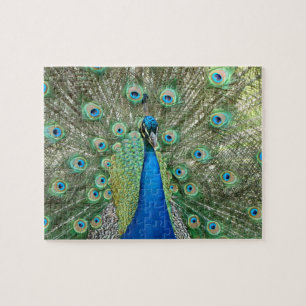 Pfau-Puzzlespiel Puzzle