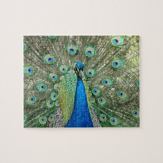 Pfau-Puzzlespiel Puzzle (Horizontal)