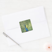 Pfau Quadratischer Aufkleber (Umschlag)