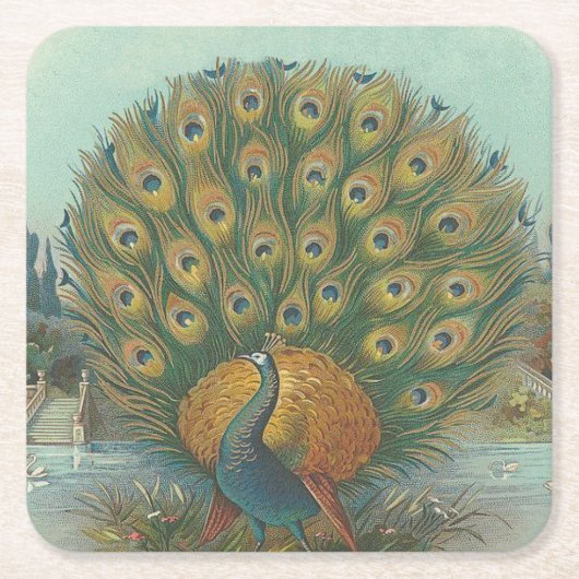 Pfau Rechteckiger Pappuntersetzer (Vorderseite)