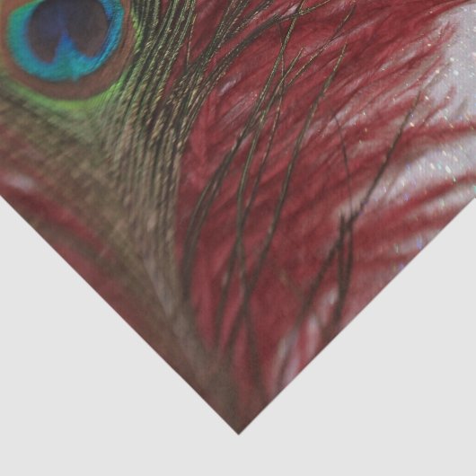 Pfau-Rot und Weiß Seidenpapier (Ausschnitt)