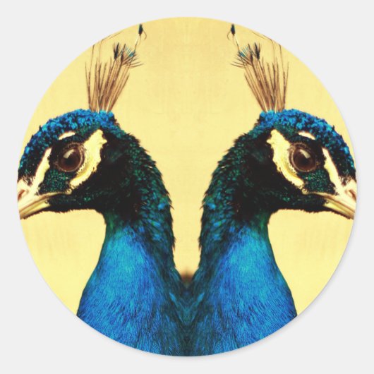 Pfau Runder Aufkleber (Vorderseite)