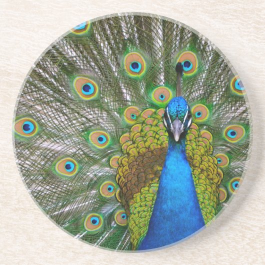 Pfau Sandstein Untersetzer (Vorne)