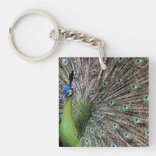 Pfau Schlüsselanhänger