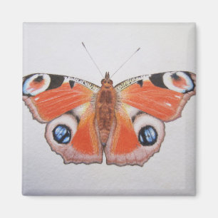 Pfau-Schmetterling 2012 Magnet