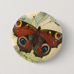 Pfau-Schmetterling Button
