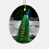 Pfau schöne Federn Kunstfarben Keramik Ornament (Rechts)