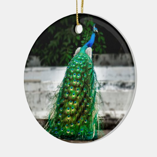 Pfau schöne Federn Kunstfarben Keramik Ornament (Links)