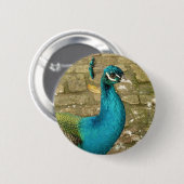 Pfau Schöne Naturfotografie Button (Vorne & Hinten)