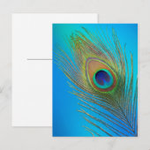Pfau-Schwanz-Feder Postkarte (Vorne/Hinten)